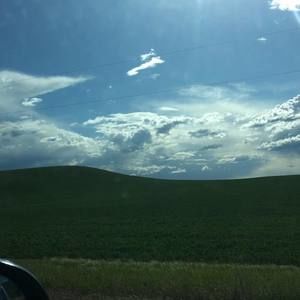 Meet your Posher, Lavender